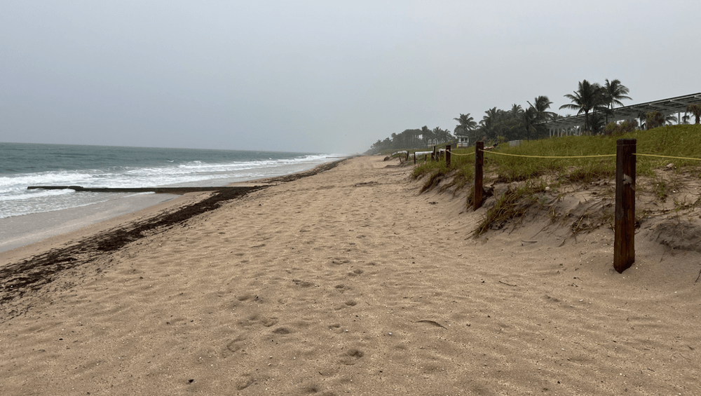 Public Opinion on Marijuana and Florida’s Road to Adult-Use